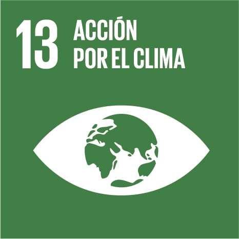 13_climate-action