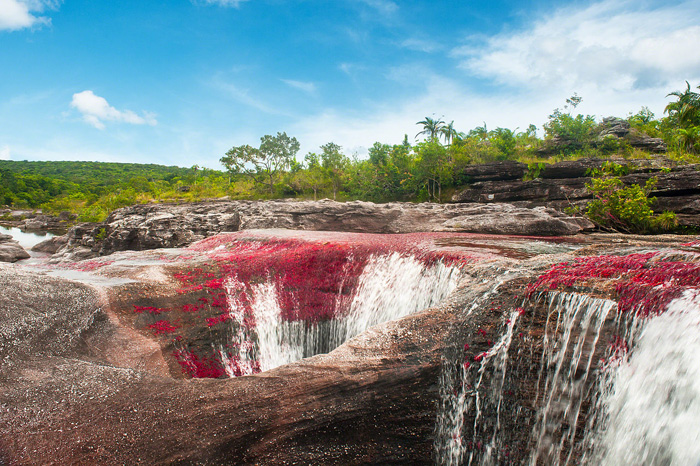 El Rio Cano Cristales En Colombia Un Arcoiris De Color Fundacion Aquae