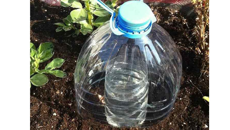 Goteo solar con botellas de plástico, entre las manualidades con botellas de plástico que puedes hacer