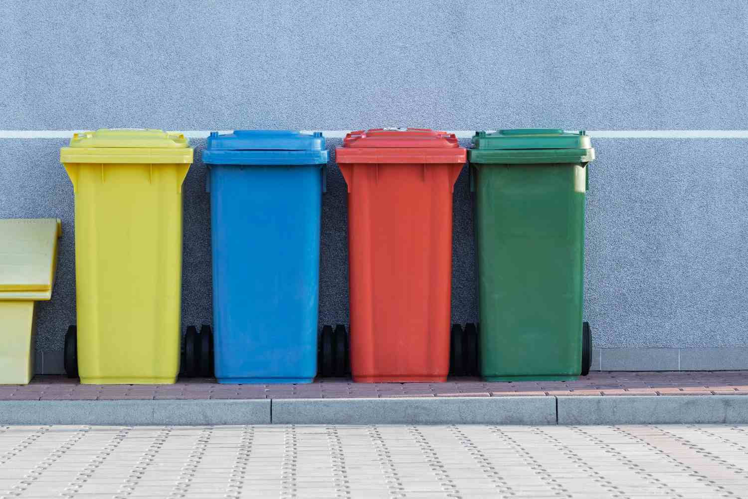 Reciclaje y la separación correcta de la basura